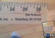 Tags: are, measurements, not, ruler, scale (Pict. in My r/MILDLYINTERESTING favs)