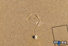 Tags: crab, mark, perfect, question, sand (Pict. in My r/MILDLYINTERESTING favs)