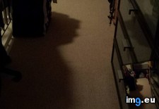 Tags: old, shadow, woman (Pict. in My r/MILDLYINTERESTING favs)