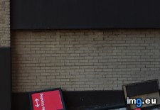 Tags: obeys (Pict. in My r/MILDLYINTERESTING favs)