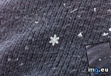 Tags: prefect, snowflake (Pict. in My r/MILDLYINTERESTING favs)