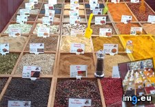 Tags: amazing, are, had, quantity, spices, street, vendor (Pict. in My r/MILDLYINTERESTING favs)