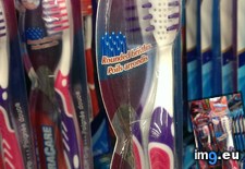 Tags: bristles, toothbrush (Pict. in My r/MILDLYINTERESTING favs)