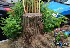 Tags: chair, converted, tree, was (Pict. in My r/MILDLYINTERESTING favs)