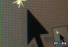 Tags: pixels, screen, spider, tiny, visiting, wide (Pict. in My r/MILDLYINTERESTING favs)