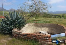 Tags: brick, cactus, old, pineapple, resemble, structure (Pict. in My r/MILDLYINTERESTING favs)