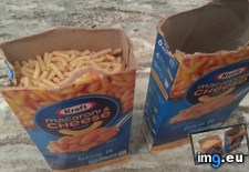 Tags: box, boxes, dinner, easily, fit, kraft, one, two (Pict. in My r/MILDLYINTERESTING favs)