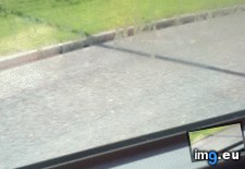 Tags: bus, panes, trapped, water, window (GIF in My r/MILDLYINTERESTING favs)