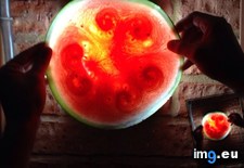 Tags: amazing, cut, front, held, light, pattern, super, thin, watermelon (Pict. in My r/MILDLYINTERESTING favs)