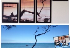 Tags: beach, hanging, hawaii, living, lounging, picture, room, week (Pict. in My r/MILDLYINTERESTING favs)