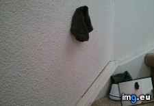 Tags: one, socks, son, stairs, sticked, tossed, wall (Pict. in My r/MILDLYINTERESTING favs)