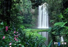 Tags: atherton, australia, falls, millaa, north, queensland, tableland (Pict. in Beautiful photos and wallpapers)
