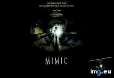 Tags: horror, mimic, movies (Pict. in Horror Movie Wallpapers)