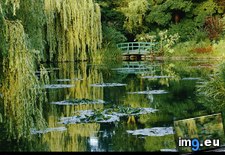 Tags: monet, pond (Pict. in National Geographic Photo Of The Day 2001-2009)