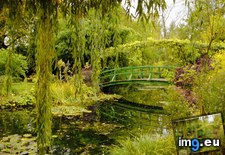 Tags: france, garden, giverny, monet, normandy (Pict. in Beautiful photos and wallpapers)
