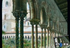 Tags: arches, assumption, cathedral, cloister, columned, double, lady, monreale, our (Pict. in Branson DeCou Stock Images)