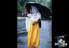 Tags: monsoon, portrait (Pict. in National Geographic Photo Of The Day 2001-2009)
