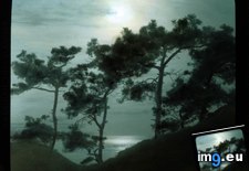 Tags: california, county, drive, mile, monterey, moonlit, ocean, pine, trees (Pict. in Branson DeCou Stock Images)