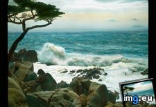 Tags: breaking, california, county, drive, mile, monterey, rocky, shore, waves (Pict. in Branson DeCou Stock Images)