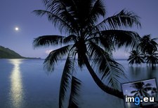 Tags: bay, french, island, moonlight, moorea, opunohu, polynesia (Pict. in Beautiful photos and wallpapers)