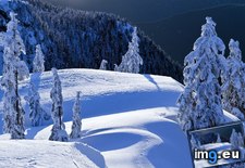 Tags: british, columbia, mount, north, park, provincial, seymour, vancouver (Pict. in Beautiful photos and wallpapers)
