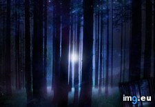 Tags: forest, mystic (Pict. in Khim CSS)