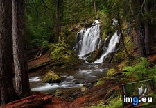 Tags: cascades, creek, falls, national, oregon, southern (Pict. in Beautiful photos and wallpapers)