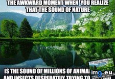 Tags: naturesounds (Pict. in Rehost)