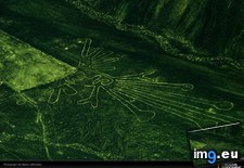 Tags: lines, littlehales, nazca (Pict. in National Geographic Photo Of The Day 2001-2009)