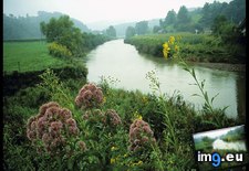 Tags: flowers, new, river (Pict. in National Geographic Photo Of The Day 2001-2009)
