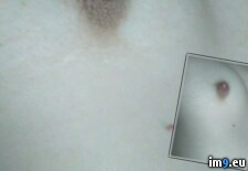 Tags: amateur, cunt, hot, nipple, pussy, sexy, slutty, teen, tits, wetpussy (Pict. in Valentina nude selfies)
