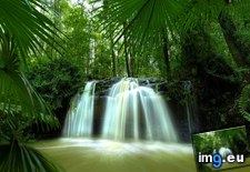 Tags: australia, hinterland, noosa, queensland, waterfall (Pict. in Beautiful photos and wallpapers)