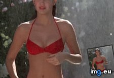 Tags: classic (GIF in My r/NSFW favs)