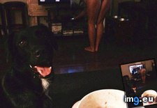 Tags: night, perfect (Pict. in My r/NSFW favs)