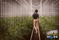 Tags: gardening, sexy (Pict. in My r/NSFW favs)