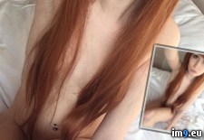 Tags: cat, pussy (Pict. in My r/NSFW favs)
