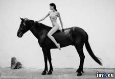 Tags: horse, nsfw, ride (Pict. in My r/NSFW favs)