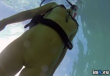 Tags: scuba, session (Pict. in My r/NSFW favs)