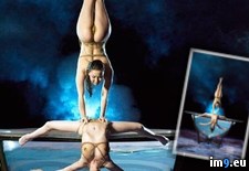 Tags: cirque, sensual, soleil, waterbowl, zumanity (Pict. in My r/NSFW favs)
