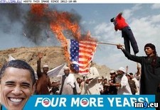 Tags: burning, flag, obama, years (Pict. in Obama is Failure)