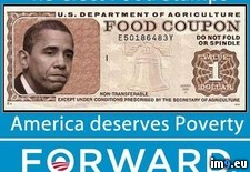 Tags: food, obama, reelect, stamps (Pict. in Obama is Failure)