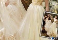 Tags: dresses, ivory, off, wedding, white (Pict. in Wedding dresses)