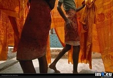 Tags: india, orange, saris (Pict. in National Geographic Photo Of The Day 2001-2009)