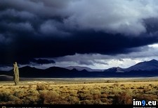 Tags: desert, oregon (Pict. in National Geographic Photo Of The Day 2001-2009)