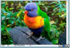 original ( #Original) - 54 KB Tags: original (Pict. in wadie 0)