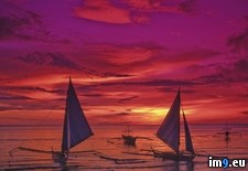 Tags: boats, boracay, island, outrigger, philippines, sunset (Pict. in Beautiful photos and wallpapers)