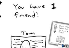 P Al M Pi Lo T (funny meme) - 26 KB Tags: funny, meme (Pict. in Funny pics and meme mix)