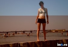 Tags: p6150023 (Pict. in Max foto joannaslask)