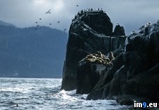Tags: coast, pacific (Pict. in National Geographic Photo Of The Day 2001-2009)
