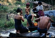 Tags: family, padaung (Pict. in National Geographic Photo Of The Day 2001-2009)